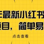 2023年最新小红书成人电商项目，简单易操作【详细教程】【揭秘】