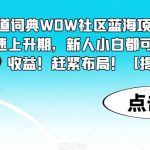 有道词典WOW社区蓝海项目，目前高速上升期，新人小白都可以换取高收益！赶紧布局！【揭秘】