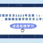 轻语拼多多2023年合集（1-4月），最新最全新手拼多多上手课程