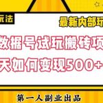 数据号回归玩法游戏试玩搬砖项目再创日入500+【揭秘】