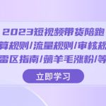 2023短视频·带货陪跑：运算规则/流量规则/审核规则/雷区指南/薅羊毛涨粉..