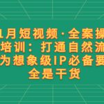 11月短视频·全案操盘手培训：打通自然流量 成为想象级IP必备要素 全是干货