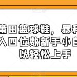 卖莆田篮球鞋，暴利掘金日入四位数新手小白都可以轻松上手【揭秘】