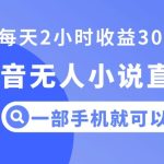 抖音无人小说直播，一部手机操作，日入300+【揭秘】