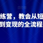 21天IP训练营，教会从短视频制作到变现的全流程