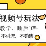 最新视频号玩法，不销售、不引流、不推广，躺着月入1W+，保姆式教学，小白轻松上手【揭秘】