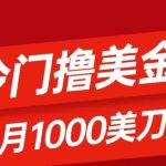 冷门撸美金项目：只需无脑发帖子，每月1000刀，小白轻松掌握