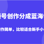 视频号创作分成蓝海领域，视频制作简单，比较适合新手小白搞钱