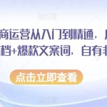 小红书电商运营从入门到精通，店铺入住全流程文档+爆款文案词，自有非凡收获