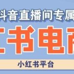 小红书电商高级运营课程，实操教学+案例分析