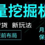 抖音图文带货新玩法，流量挖掘机，小白月入过万，保姆级教程【揭秘】