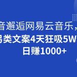 抖音邂逅网易云音乐，另类文案4天狂吸5W粉，日赚1000+