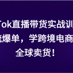 TikTok直播带货实战训练营，引流爆单，学跨境电商，向全球卖货！