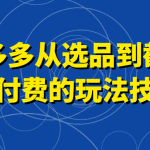 拼多多从选品到截流到付费的玩法技巧，助你掌握截流自然流量，高投产，强付费快速启动