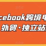 脸书Facebook跨境电商入门课，外贸·独立站必修