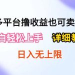 0成本多平台撸收益也可卖资源玩法，小白轻松上手。详细教学日入500+附资源