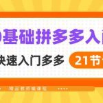 新人0基础拼多多入门，纯小白快速入门多多（21节课）