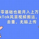 零基础也能月入上w，TikTok风景视频搬运，简单去重，无脑上传【揭秘】