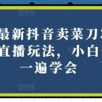 2024最新抖音卖菜刀3.0版本无人直播玩法，小白也可以一遍学会【揭秘】