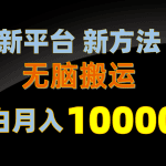 新平台新方法，无脑搬运，月赚10000+，小白轻松上手不动脑