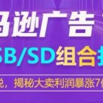 亚马逊SPSBSD广告组合打法，揭秘大卖利润暴涨7倍战术