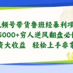 视频号带货鲁班经暴利项目，穷人逆风翻盘必做项目，0投资大收益轻松上手非常稳定【揭秘】