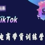 TikTok电商带货训练营，跟随时代潮流，跨境掘金