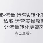 私域-流量 运营&转化实操课：私域 运营实操攻略 让流量转化更高效