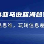 2024亚马逊蓝海趋势选法，全新选品思维，玩转信息差