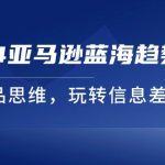 （11703期）2024亚马逊蓝海趋势选法，全新选品思维，玩转信息差