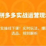 2024拼多多实战运营现场课，实时玩法，爆款打造，选品、规则解析，难得的实操线下课！