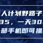 （11750期）发行人计划野路子玩法，一单35，一天3000+，一部手机即可操作