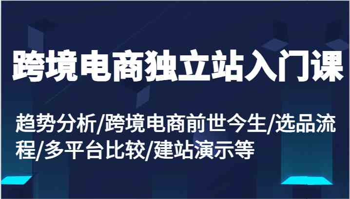 跨境电商独立站入门课：趋势分析,跨境电商前世今生,选品流程,多平台比较,建站演示等