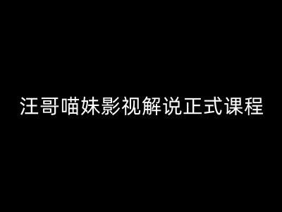 汪哥影视解说正式课程：剪映,PR教学,视解说剪辑5大黄金法则,全流程剪辑7把利器等等