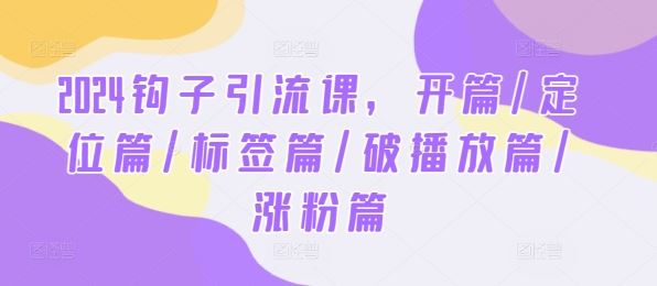 2024钩子引流课，开篇,定位篇,标签篇,破播放篇,涨粉篇