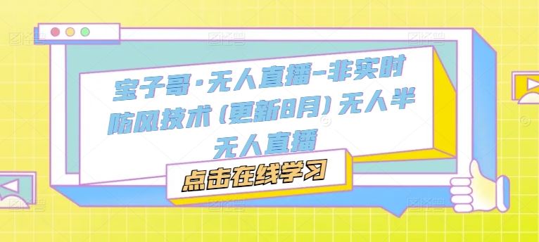 宝子哥·无人直播-非实时防风技术(更新8月)无人半无人直播